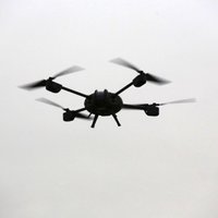 Латвия будет выслеживать браконьеров при помощи дронов