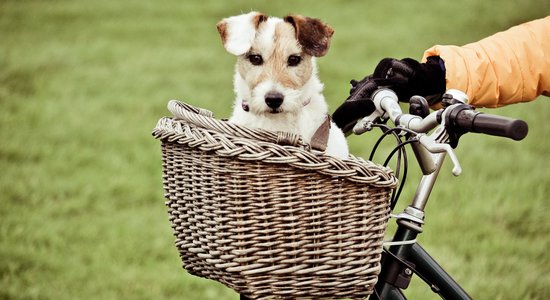 Uzbūvēts veloceliņš no Ulbrokas uz Rīgu