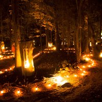 Впечатляющие ФОТО: Очередная Огненная ночь в парке Виенкочу