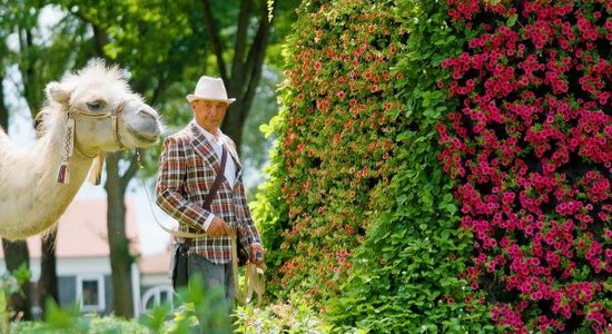 Pieci iemesli, kāpēc apmeklēt ziedu festivālu Pakrojas muižā