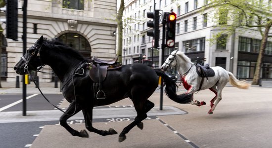 Izbēgot armijas zirgiem, Londonā ievainoti četri cilvēki; cieš arī rikšotāji