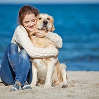 Glaudīšana, apskaušana, vainas apziņa – kāpēc sunim šīs darbības varētu nepatikt