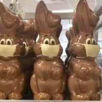ФОТО. В Германии в продажу поступили шоколадные зайцы в защитной маске