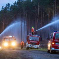 На севере Германии бушует крупнейший в истории региона лесной пожар