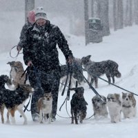 Zviedrijas ziemeļos brīdina par sniegputeni; valsts dienvidos +28 grādi
