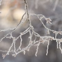Латвийские синоптики пугают морозом до -28 градусов