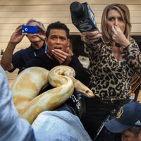 Šausmu māja: ASV skolotājam atņem 400 čūskas