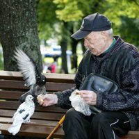 Средняя пенсия в Латвии — 190 латов
