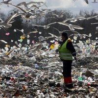 Rumbulā atkritumos burkās atrastā ķīmiskā viela – bīstams un kodīgs sārms