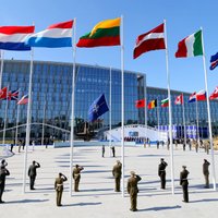 Парламентская ассамблея НАТО призывает разрешить ВСУ применение западного оружия для ударов по целям в России