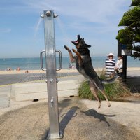 В Австралии установилась экстремальная жара