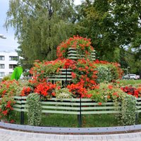 Provizoriskie vēlēšanu rezultāti Vidzemes pašvaldībās