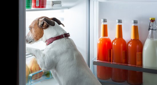 10 produkti, kam noteikti jābūt saldētavā, lai zibenīgi pagatavotu vakariņas