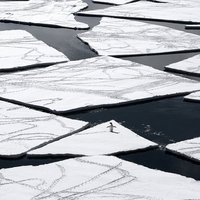 Ученые: темпы таяния льдов Антарктиды достигли максимума за 1000 лет