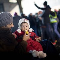 Президент провозгласил закон о Латвии как убежище для нуждающихся в нем