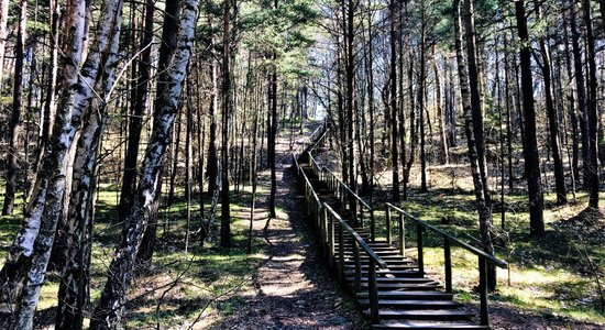 Foto: Dabas taka Lietuvā, kas ved gar seno Litorīnas jūras krasta krauju