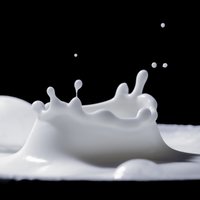 Lūgumu atbalstīt piena pārstrādātājus Kariņš uzdod izskatīt ministrijās