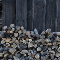 Теплая осень снизила цены на древесину