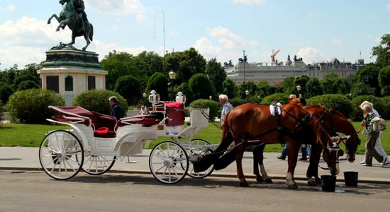 Ne tikai desiņas! 10 lietas, kas noteikti jāpaveic Vīnē