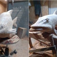 Būšnieku ezera dabas takā izvietos zivju skulptūras