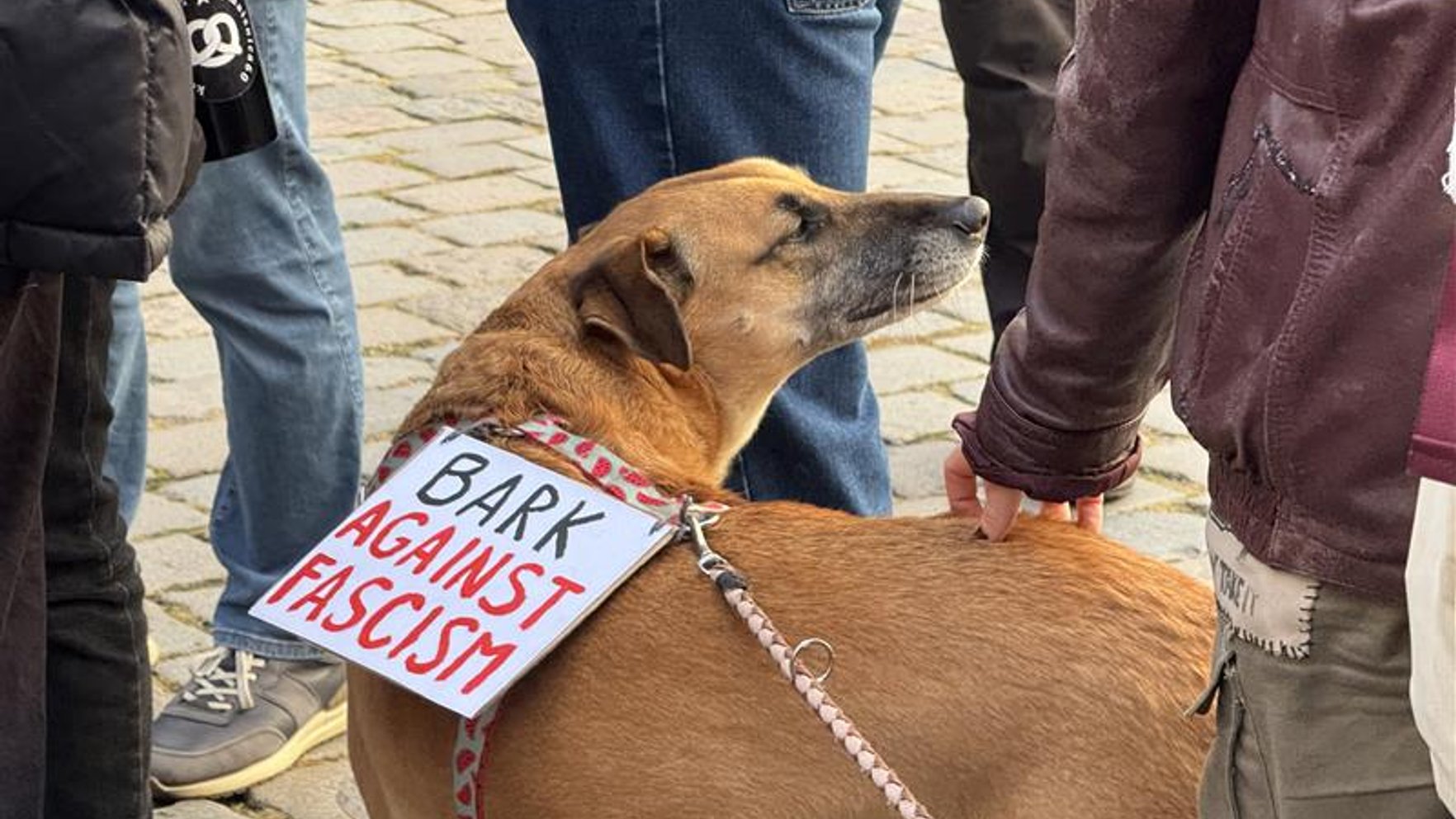 Foto: "Migrācija ir cilvēktiesības" – Rātslaukumā pikets pulcē plašu cilvēku loku