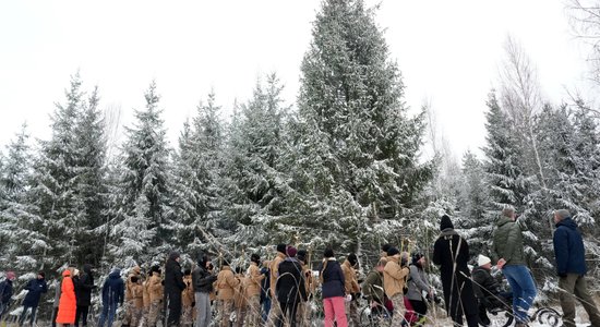 В этом году в Риге установят около 40 рождественских елок