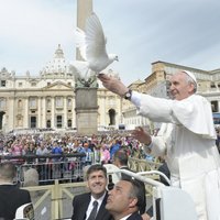 Голубей Ватикана защитит дрессированный ястреб