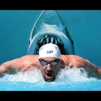 Майкл Фелпс проиграл заплыв на 100 метров большой белой акуле
