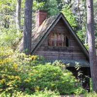 Из леса прямо в парк: Четыре прекрасных дендрария неподалеку от Риги
