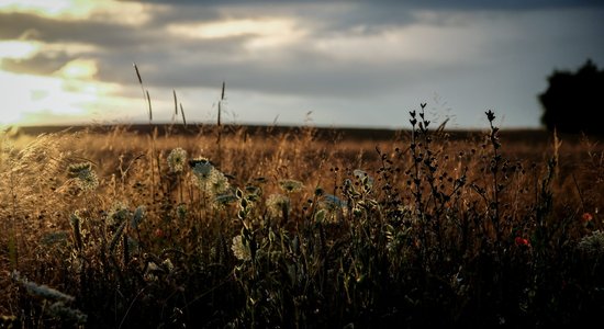 Nākamnedēļ gaidāms pamatīgs karstums; nedēļas izskaņā plaši nokrišņi