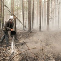 Zalves pagastā ar bruņoto spēku palīdzību dzēš meža ugunsgrēku