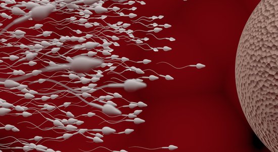 Специалисты предупреждают: в Литве действует нелегальный рынок спермы