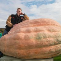 Foto: Beļģu ķirbis pārspēj pasaules rekordu Eiropas čempionātā Lūdvigsburgā