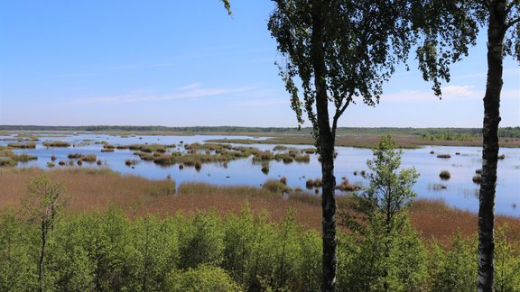 Kaņiera pilskalns