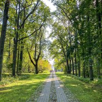 Жара не обязательна: 22 интересных латвийских парка для прогулок на выходных