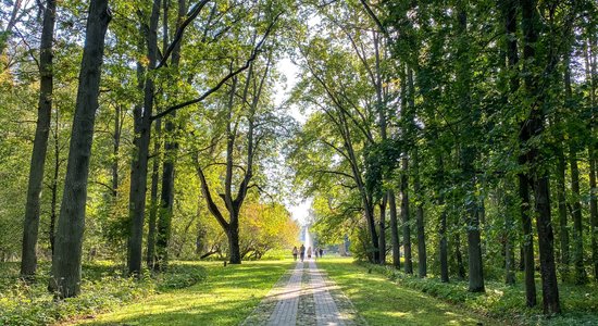 ФОТО. Всего 80 километров от Риги: Прогулка по берегу Даугавы в старейшем дендрарии Латвии
