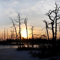 Foto: Saullēkta mistērija sirreālajā Cenas tīrelī