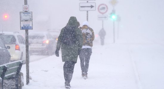 Местами слой снега около 15-20 сантиметров: больше всего осадков выпало в Курземе