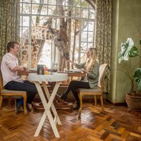 ФОТО. Уникальный опыт в африканском отеле – завтрак с жирафами