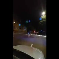 ВИДЕО: Полицейские встретили в городе благородного оленя