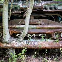 Foto: Kā mežs pārņem 'Chrysler Imperial' un citu klasisko auto vrakus