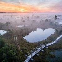 Vāc parakstus par aizliegumu atmežot Ķemeru nacionālo parku