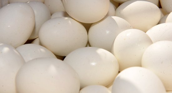 С полок магазинов могут исчезнуть украинские яйца, сахар и зерно