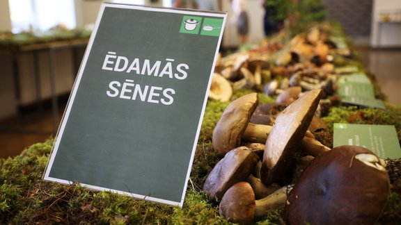 Izstāde "Sēņu dienas 2019" - 1