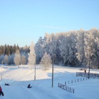 Alpaku sala, slēpošana un restorāna nedēļa – Augšdaugavas novada aktivitātes janvārī