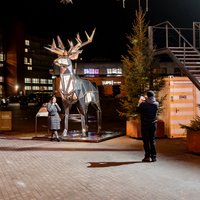 Foto: VEF kvartālā atklāta gaismas instalācija – mirdzošs briedis