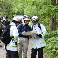 В Японии ищут мальчика, которого родители оставили в лесу за непослушание