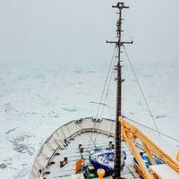 No Antarktikā iesalušā Krievijas kuģa evakuēti visi pasažieri