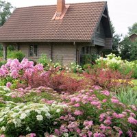 Siguldas dārzi pilnā krāšņumā: foto atskats uz novada sakoptākajiem īpašumiem
