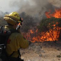 Foto: Plašos meža ugunsgrēkos Kalifornijā bojā gājuši 40 cilvēki